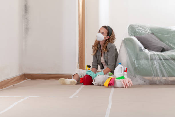 Reliable Bathroom Mold Removal contractor in Dublin, PA by WQB Mold Removal